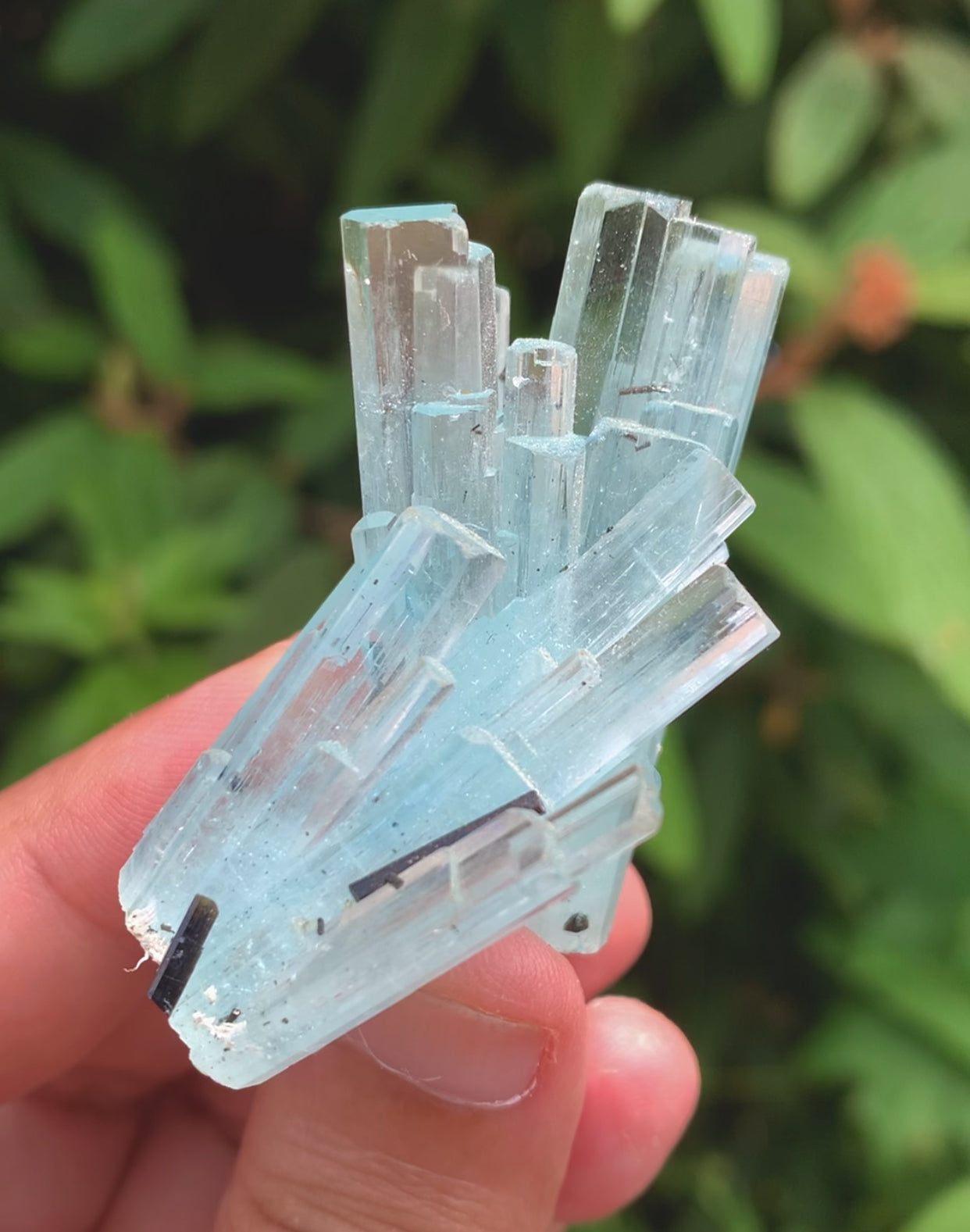 Sky Blue Color Aquamarine Cluster, Aquamarine Specimen, Crystals Cluster, Shigar Aquamarine - 37 gram