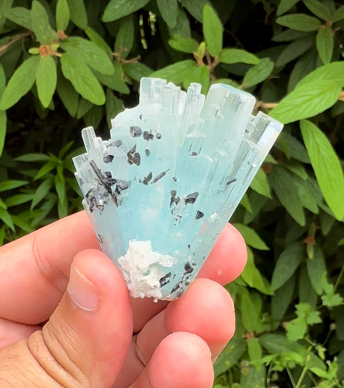 Sky Blue Color Aquamarine Cluster, Schorl Tourmalines, Aquamarine Gemstone, Shigar Aquamarine, Aquamarine Specimen - 38 gram