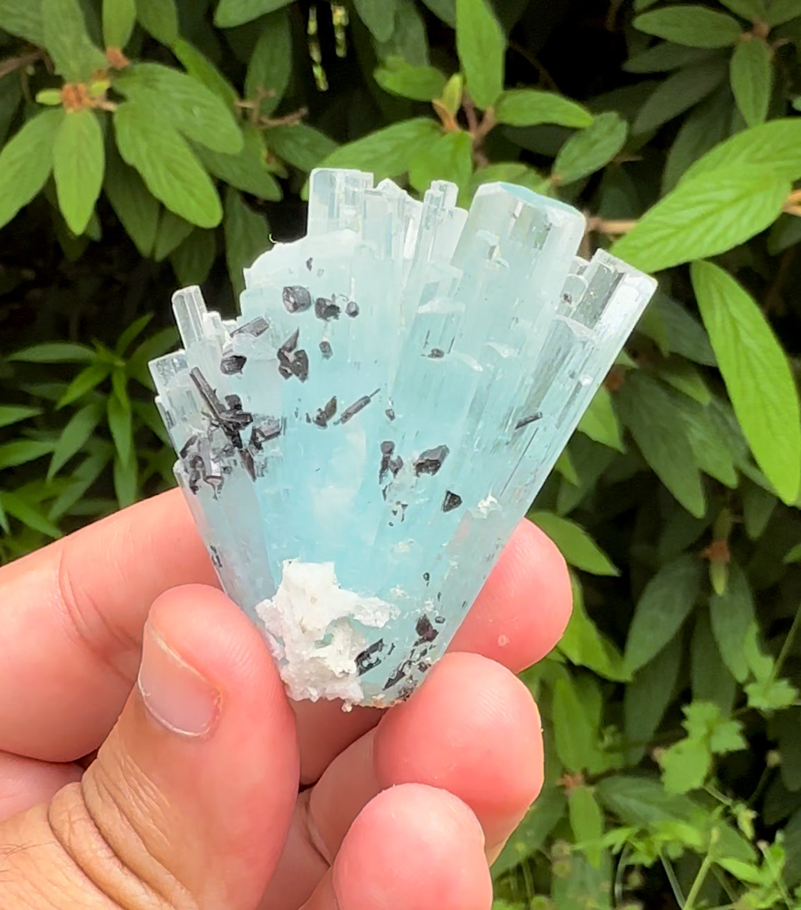 Sky Blue Color Aquamarine Cluster, Schorl Tourmalines, Aquamarine Gemstone, Shigar Aquamarine, Aquamarine Specimen - 38 gram