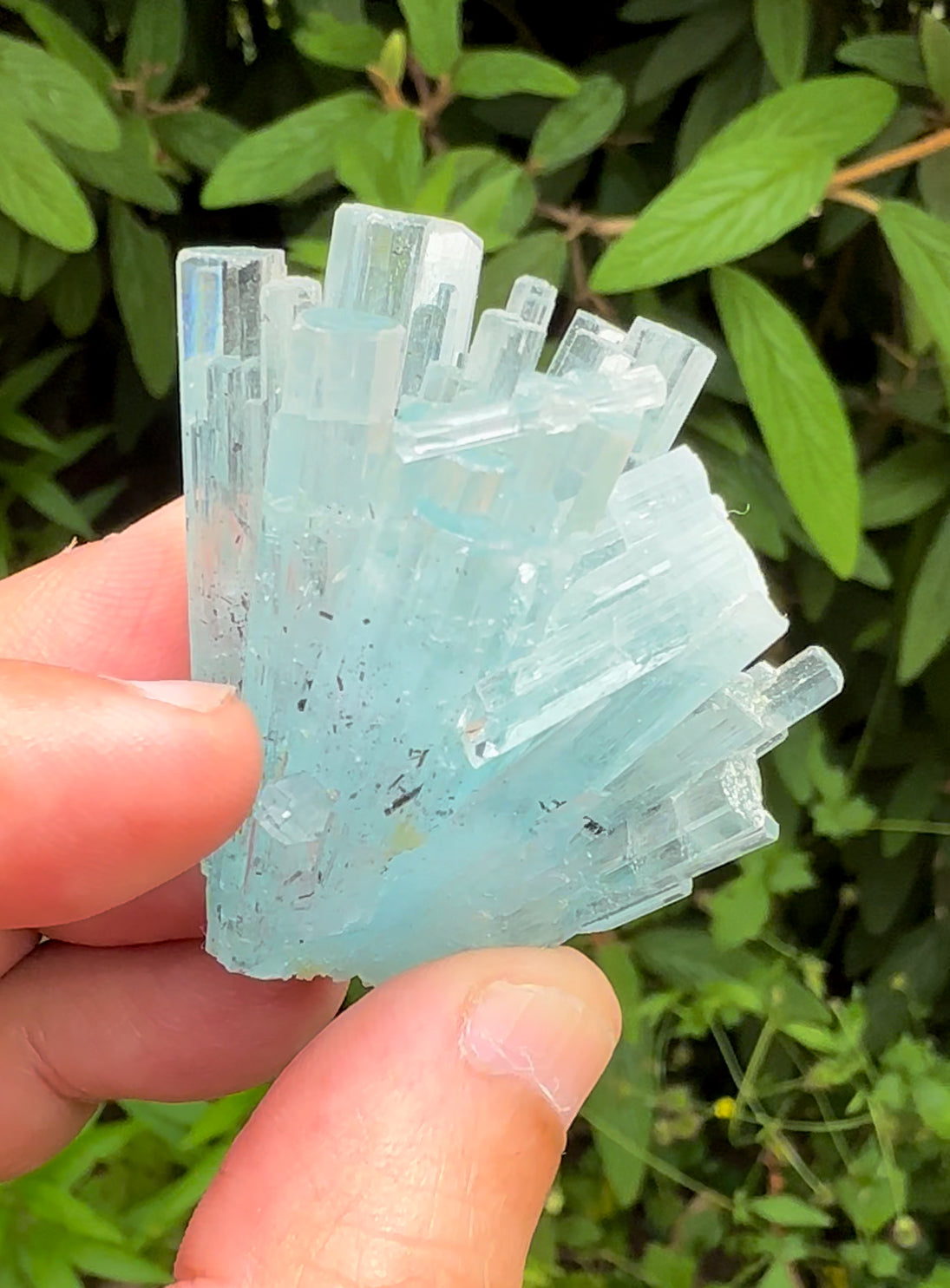 Sky Blue Color Aquamarine Cluster, Schorl Tourmalines, Aquamarine Gemstone, Shigar Aquamarine, Aquamarine Specimen - 38 gram