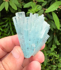 Sky Blue Color Aquamarine Cluster, Schorl Tourmalines, Aquamarine Gemstone, Shigar Aquamarine, Aquamarine Specimen - 38 gram