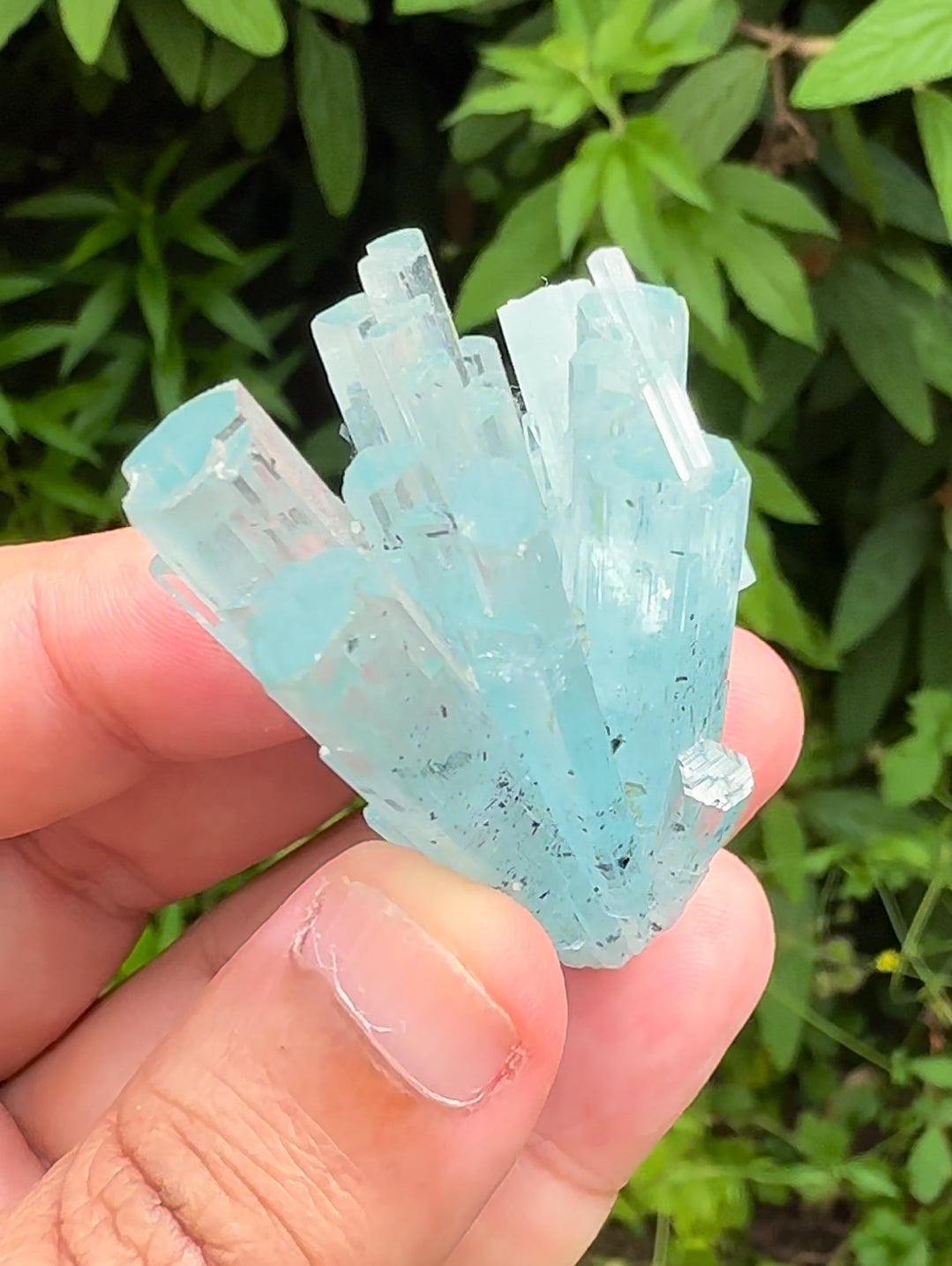 Sky Blue Color Aquamarine Cluster, Schorl Tourmalines, Aquamarine Gemstone, Shigar Aquamarine, Aquamarine Specimen - 38 gram