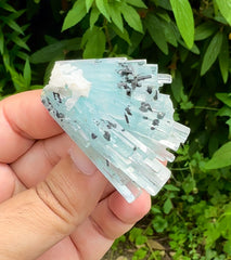 Sky Blue Color Aquamarine Cluster, Schorl Tourmalines, Aquamarine Gemstone, Shigar Aquamarine, Aquamarine Specimen - 38 gram