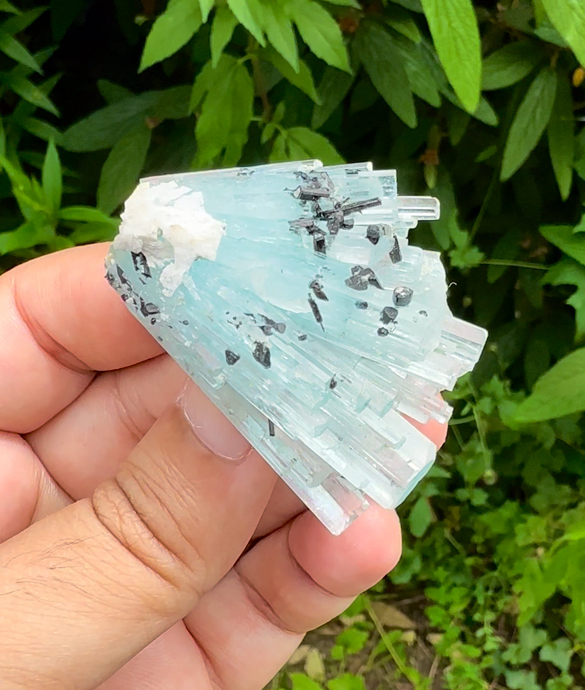 Sky Blue Color Aquamarine Cluster, Schorl Tourmalines, Aquamarine Gemstone, Shigar Aquamarine, Aquamarine Specimen - 38 gram