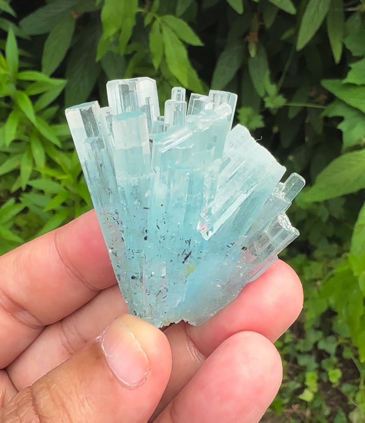 Sky Blue Color Aquamarine Cluster, Schorl Tourmalines, Aquamarine Gemstone, Shigar Aquamarine, Aquamarine Specimen - 38 gram