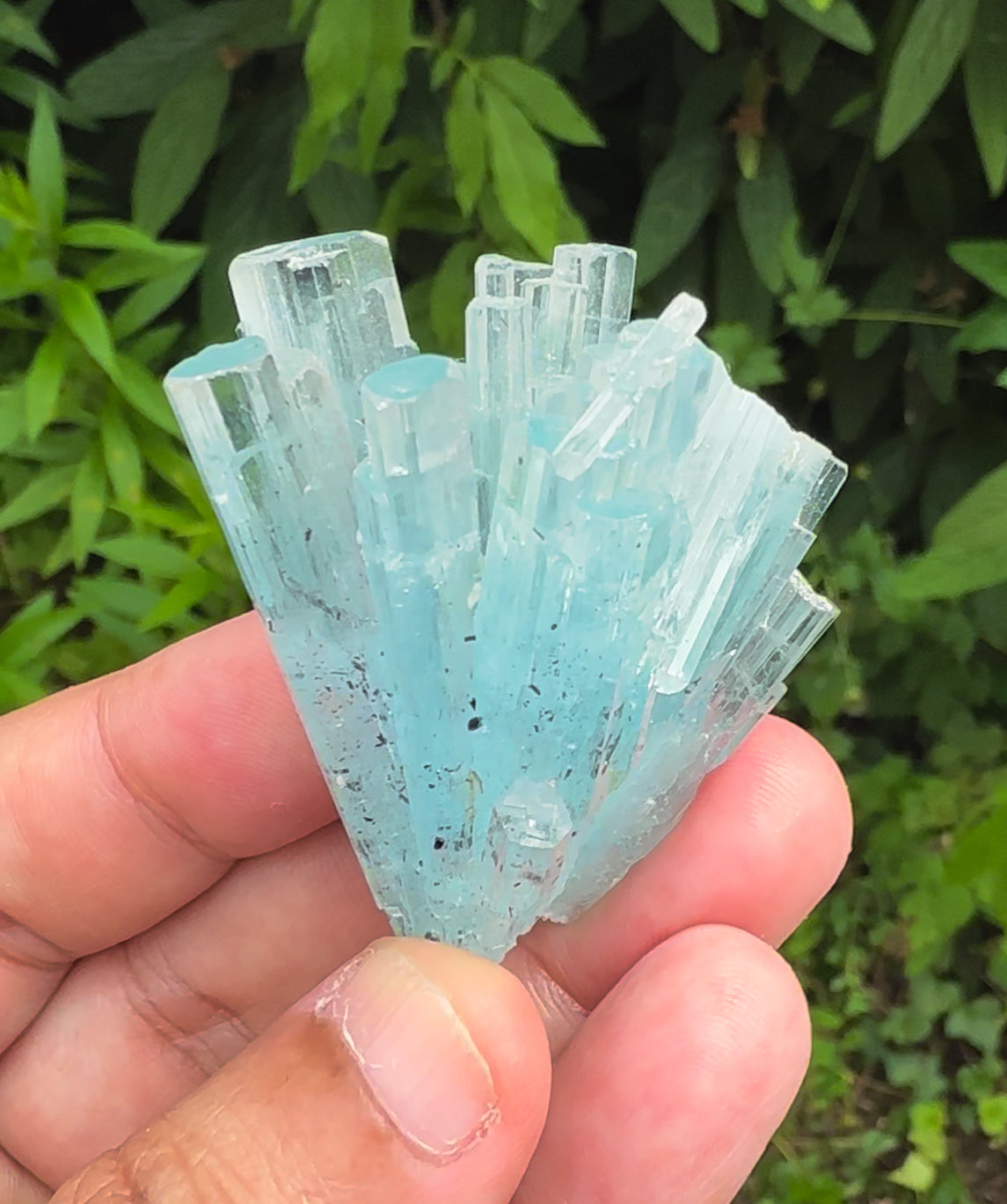 Sky Blue Color Aquamarine Cluster, Schorl Tourmalines, Aquamarine Gemstone, Shigar Aquamarine, Aquamarine Specimen - 38 gram