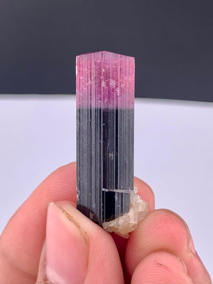 Bi-color Tourmaline Crystal From Afghanistan - 38.05 Carats