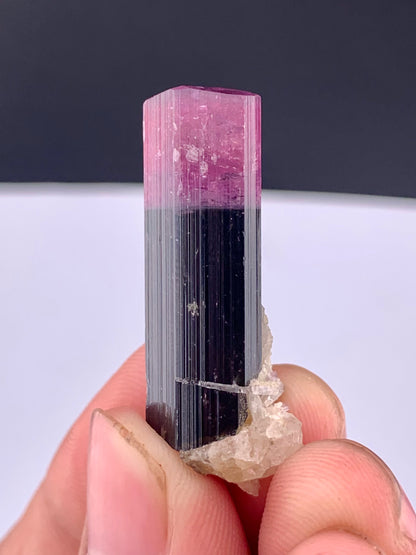 Bi-color Tourmaline Crystal From Afghanistan - 38.05 Carats