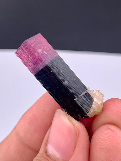Bi-color Tourmaline Crystal From Afghanistan - 38.05 Carats