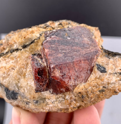 Red Zircon Crystals On Matrix From Afghanistan - 225 Grams