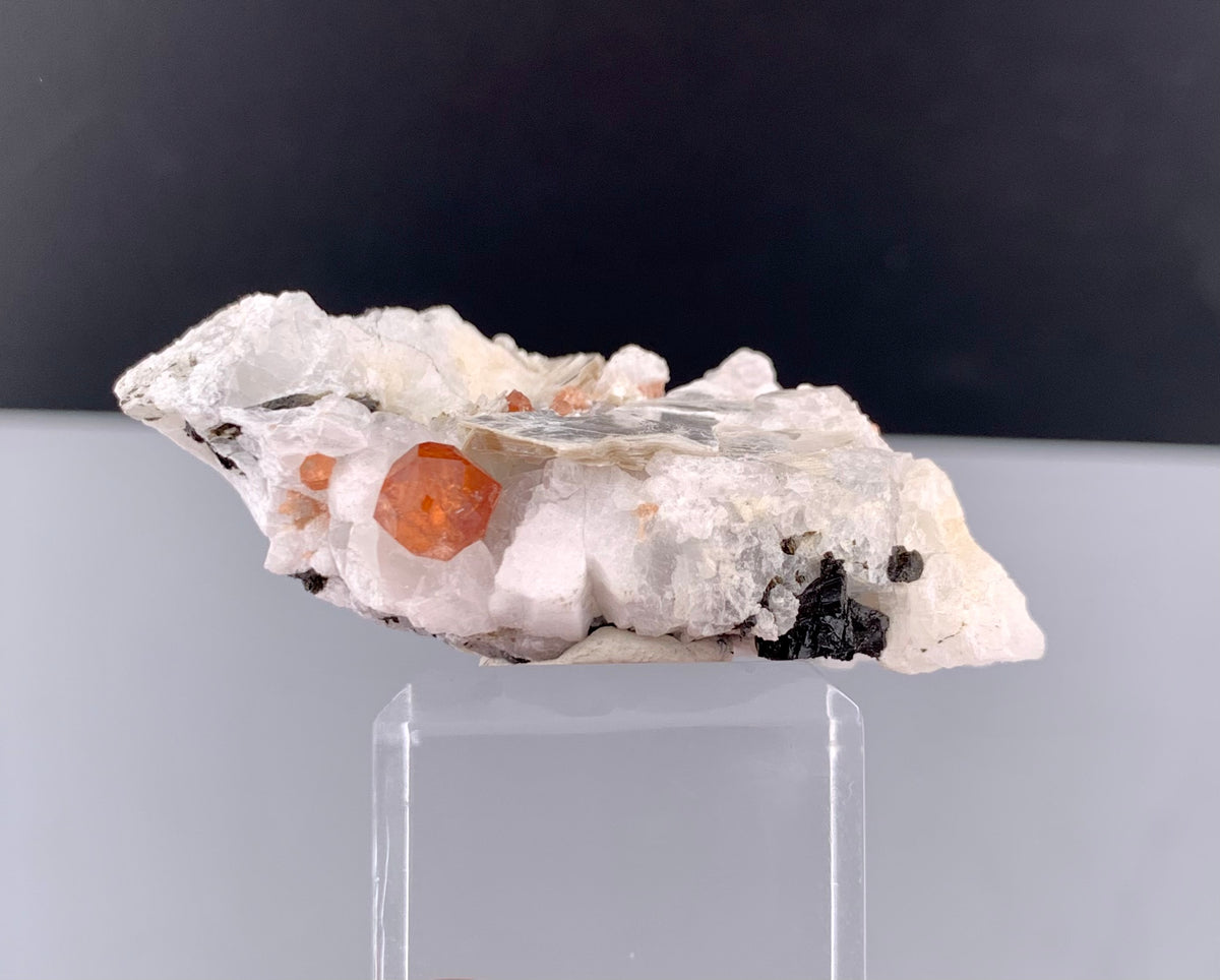 Orange Garnet Crystals With Quartz and Mica On Matrix From Pakistan - 23 Grams