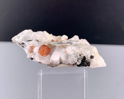 Orange Garnet Crystals With Quartz and Mica On Matrix From Pakistan - 23 Grams