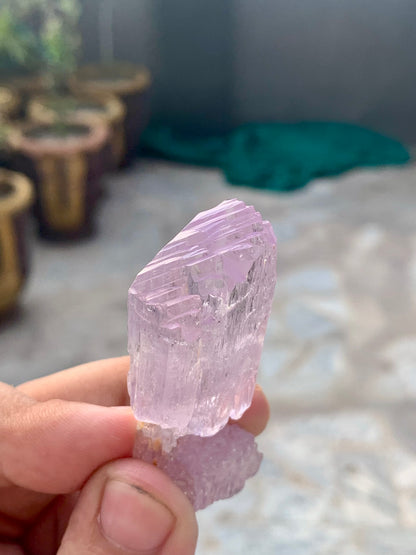 Pink Kunzite Crystal From Afghanistan - 32 Grams
