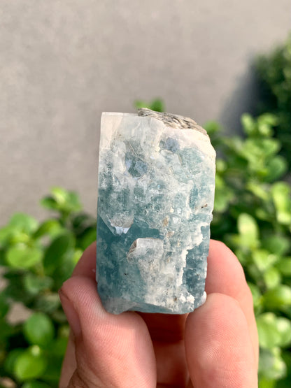 Blue Aquamarine Crystal With Mica From Pakistan - 64 Grams