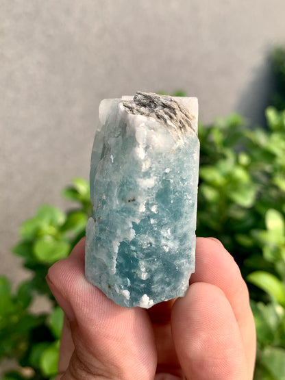 Blue Aquamarine Crystal With Mica From Pakistan - 64 Grams