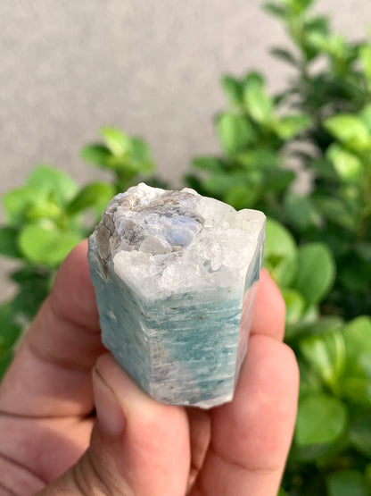 Blue Aquamarine Crystal With Mica From Pakistan - 64 Grams