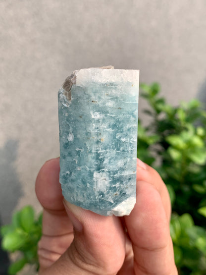 Blue Aquamarine Crystal With Mica From Pakistan - 64 Grams