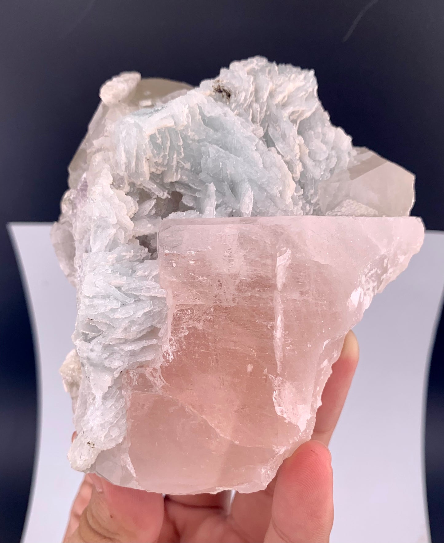 Pink Morganite With Cleavlandite Albite from Afghanistan - 459 Grams