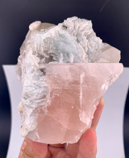 Pink Morganite With Cleavlandite Albite from Afghanistan - 459 Grams