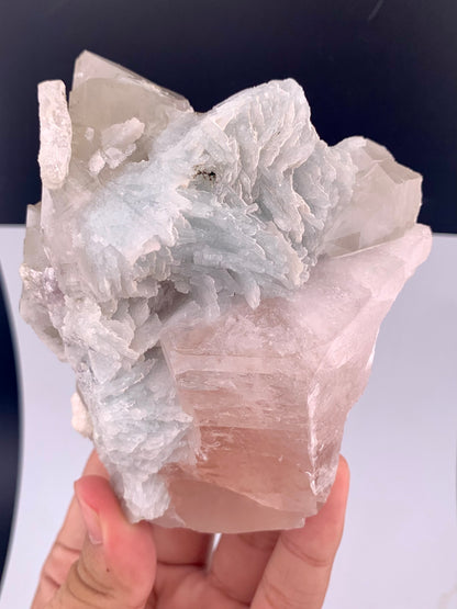 Pink Morganite With Cleavlandite Albite from Afghanistan - 459 Grams