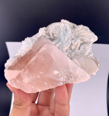 Pink Morganite With Cleavlandite Albite from Afghanistan - 459 Grams