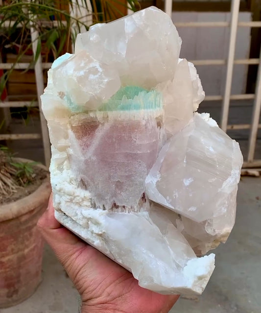 Bicolor Beryl, Etched AquaMorganite Crystal, Bicolor Morganite on Quartz from Pakistan - 6.8 kg