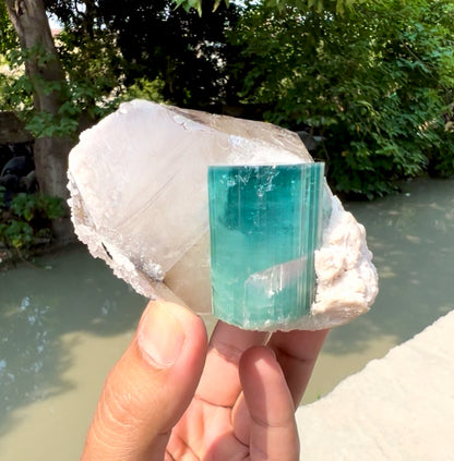 Indicolite Blue Tourmaline with Pink Apaite on Quartz from Kunar, valley Afghanistan - 364 gram