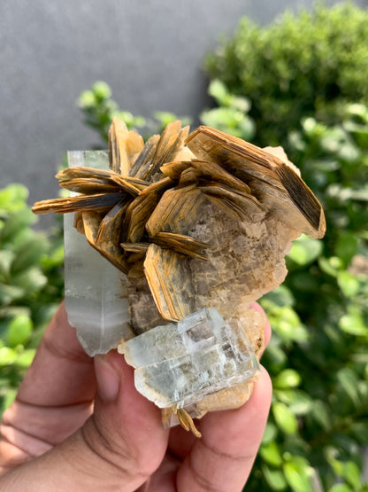 Blue Aquamarine Crystal With Mica From Pakistan - 152 Grams