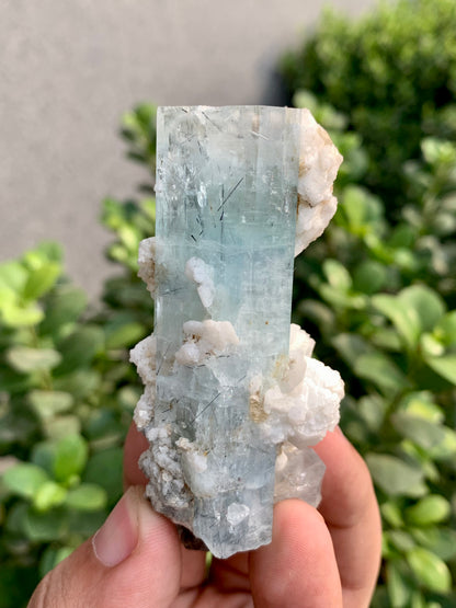 Blue Aquamarine Crystals With Schorl Spray And Feldspar From Pakistan - 92 Grams