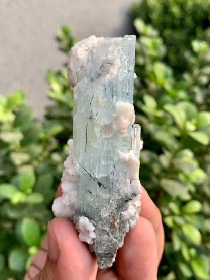 Blue Aquamarine Crystals With Schorl Spray And Feldspar From Pakistan - 92 Grams
