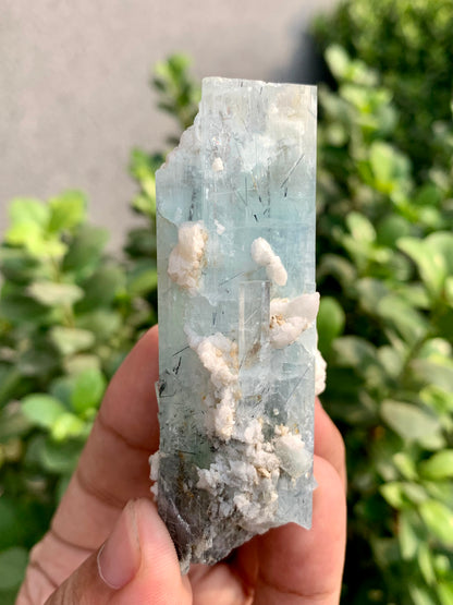 Blue Aquamarine Crystals With Schorl Spray And Feldspar From Pakistan - 92 Grams