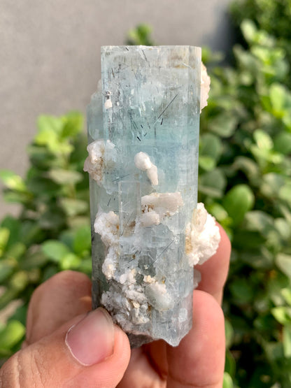 Blue Aquamarine Crystals With Schorl Spray And Feldspar From Pakistan - 92 Grams