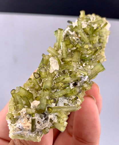 Green Tourmaline Crystals Cluster on matrix from Chapu Mine Pakistan - 43 gram