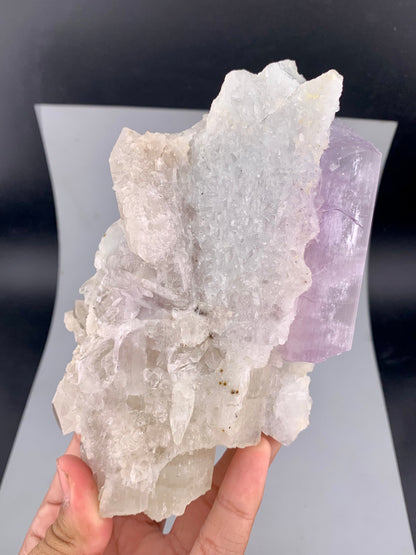 Pink Kunzite Crystal with Cleavelandite Albite And Quartz From Afghanistan - 606 Grams