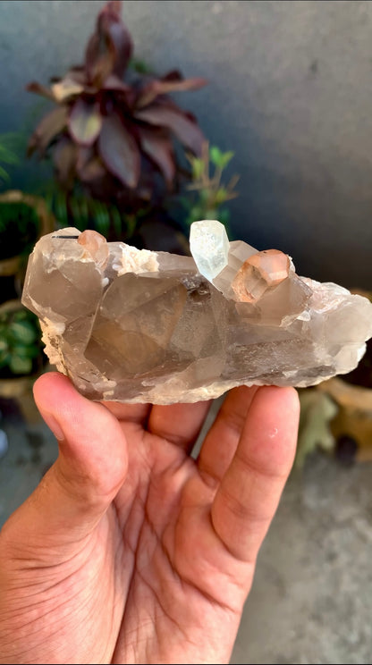 Aquamarine With Topaz Crystals on Smokey Quartz From Pakistan - 186 Grams