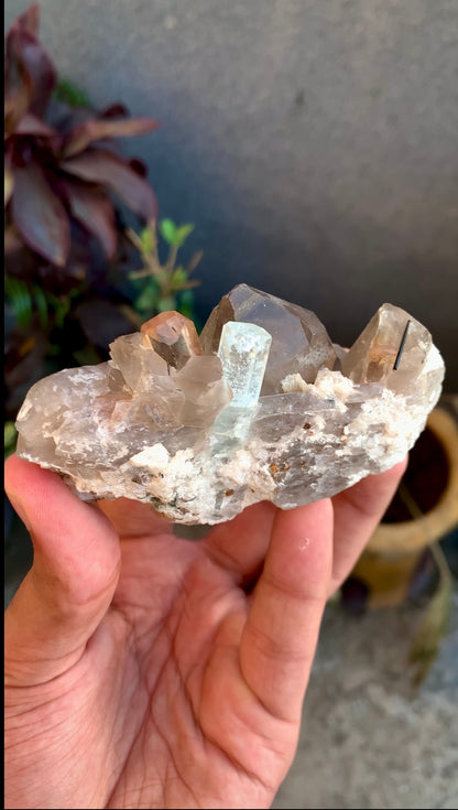 Aquamarine With Topaz Crystals on Smokey Quartz From Pakistan - 186 Grams