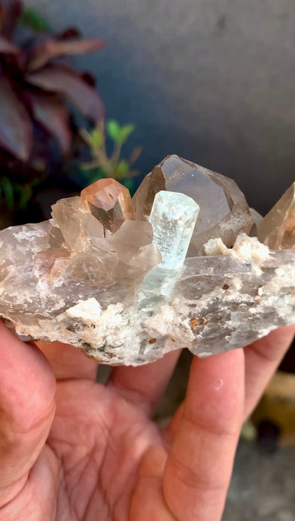 Aquamarine With Topaz Crystals on Smokey Quartz From Pakistan - 186 Grams