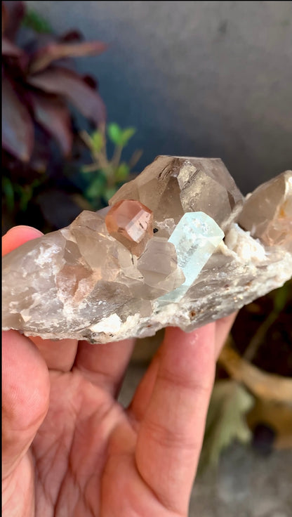 Aquamarine With Topaz Crystals on Smokey Quartz From Pakistan - 186 Grams
