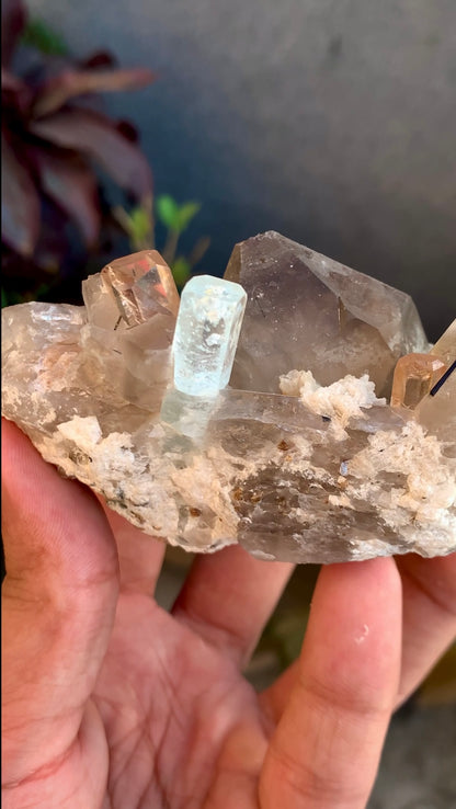 Aquamarine With Topaz Crystals on Smokey Quartz From Pakistan - 186 Grams