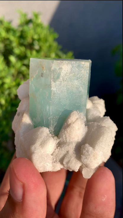 Blue Aquamarine Crystals With Feldspar and Quartz from Pakistan - 145 grams