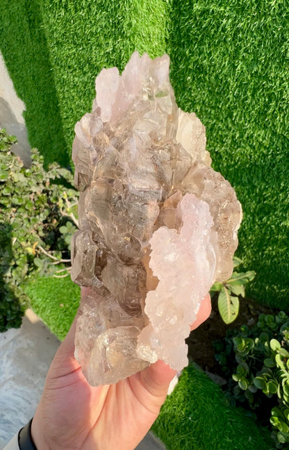 Pink Rose Quartz Strip on Lustrous Elestial Smoky Quartz from Paprok Afghanistan - 927 grams