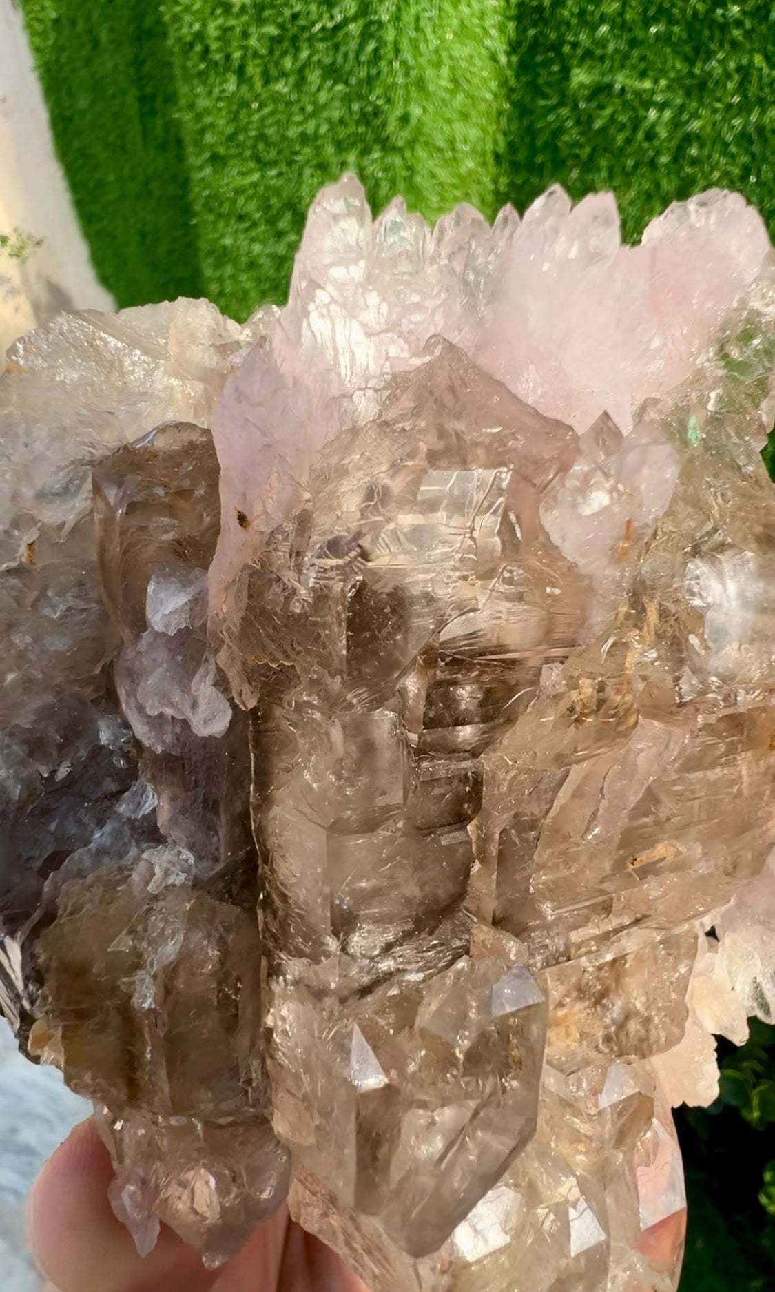Pink Rose Quartz Strip on Lustrous Elestial Smoky Quartz from Paprok Afghanistan - 927 grams