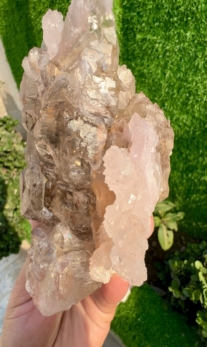 Pink Rose Quartz Strip on Lustrous Elestial Smoky Quartz from Paprok Afghanistan - 927 grams