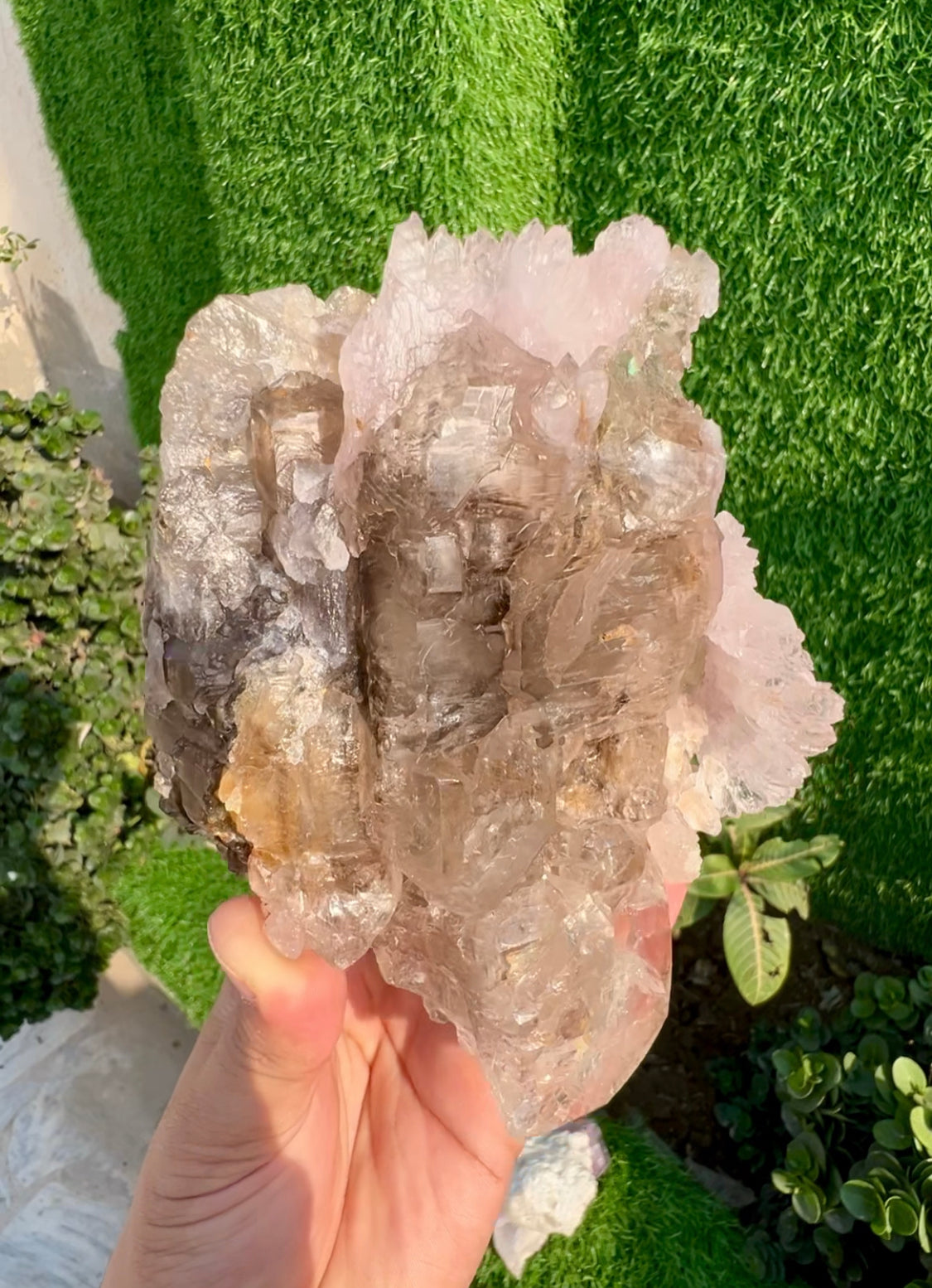 Pink Rose Quartz Strip on Lustrous Elestial Smoky Quartz from Paprok Afghanistan - 927 grams