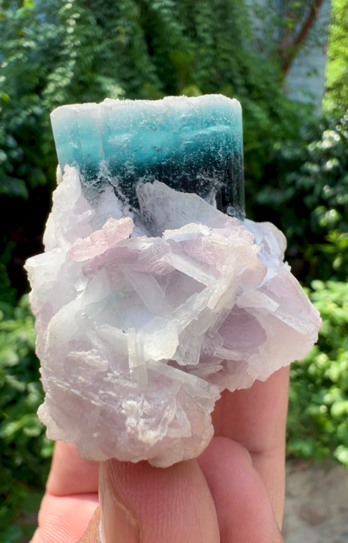Blue Cap Tourmaline on Lepidolite from Paprok Afghanistan - 65 gram