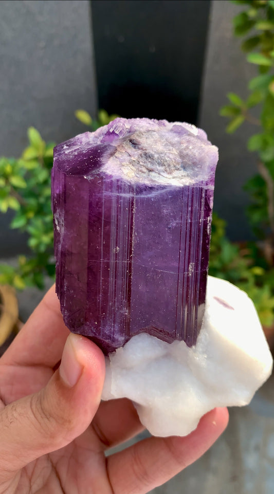 Purple Scapolite Crystal On Matrix from Afghanistan - 461 Grams