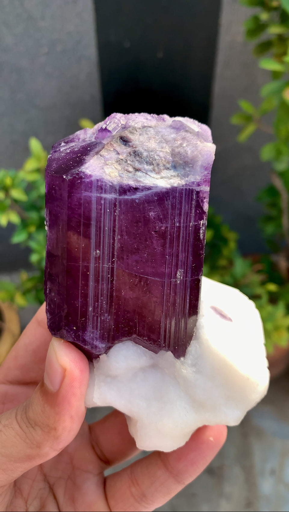 Purple Scapolite Crystal On Matrix from Afghanistan - 461 Grams