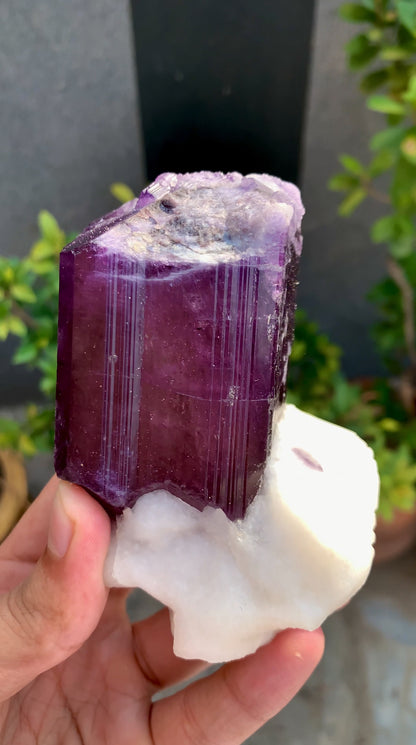 Purple Scapolite Crystal On Matrix from Afghanistan - 461 Grams