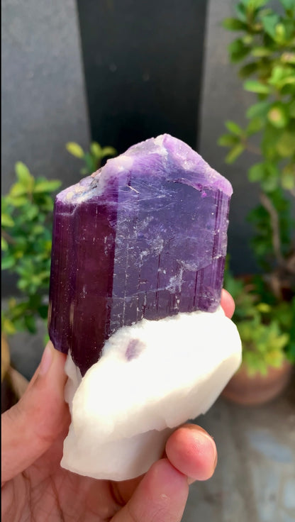 Purple Scapolite Crystal On Matrix from Afghanistan - 461 Grams