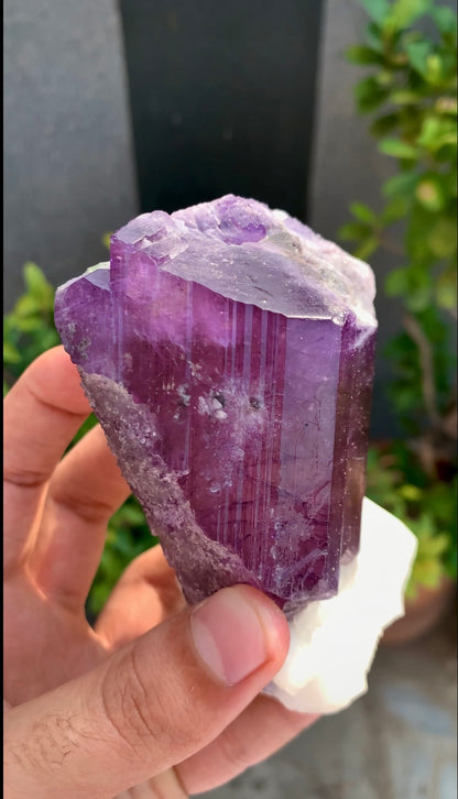 Purple Scapolite Crystal On Matrix from Afghanistan - 461 Grams